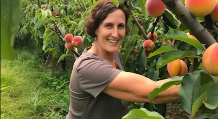 My Neighbor Destroyed the Peach Orchard I Inherited from My Grandparents – So I Made Her Regret It