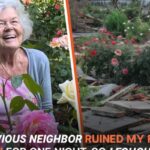 Woman Accuses Neighbor of Ruining Her Garden, Next Morning She Wakes up to Sounds of an Ambulance – Story of the Day