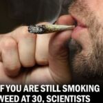 HT4. If You’re Still Smoking Weed at 30, Scientists Have Bad News