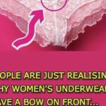 Why Women’s Underwear Have A Bow On Front