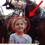 The father takes a picture of his daughter next to a horse. On closer inspection, he cannot believe what he sees