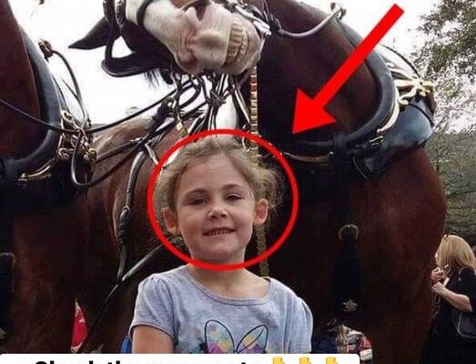 The father takes a picture of his daughter next to a horse. On closer inspection, he cannot believe what he sees