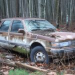 Man Was Shocked by What He Found in the Trunk of an Old Car Abandoned in the Forest