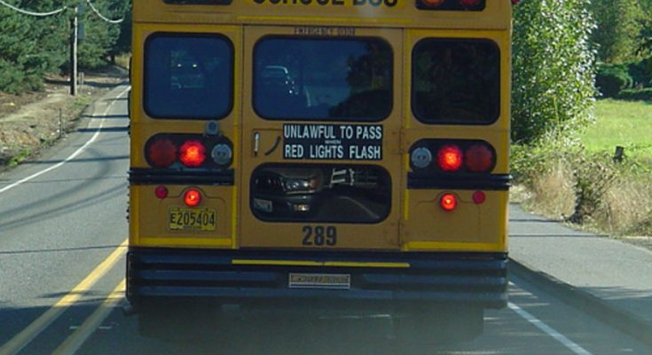 I Saw a Child on the School Bus Hitting the Back Window and Yelling for Help