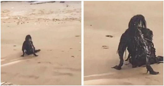 While Sunbathing on the Beach, a Man Photographs a Horrific Creature…You Will Be Surprised to Know What it Really Was…