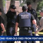 1-year-old boy found unresponsive at Palmdale park died of fentanyl overdose, medical examiner says