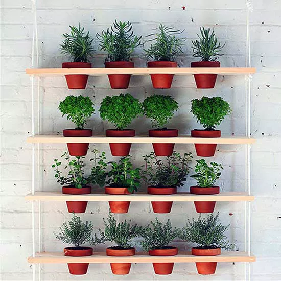 9 DIY Vertical Gardens for Better Herbs