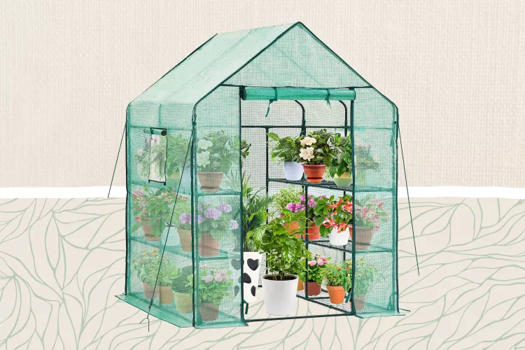 Amazon’s Best-Selling Greenhouses Include Tons of Options Under $100—Here Are 9 to Shop Now