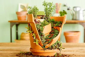 How to Make an Adorable Broken Pot Fairy Garden in 4 Easy Steps